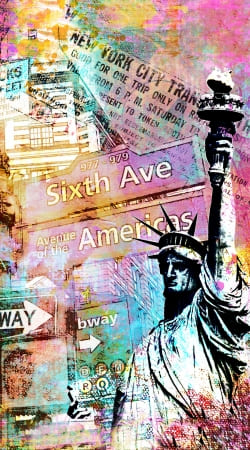 hoesje New York Liberty
