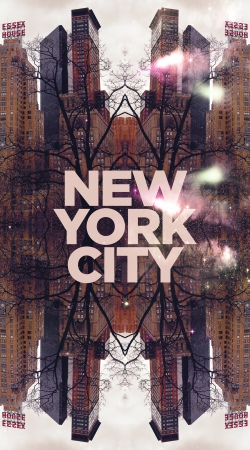 hoesje New York City VI (6)