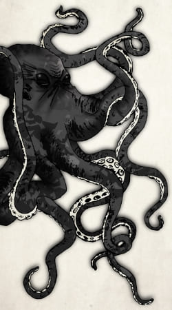 hoesje Octopus