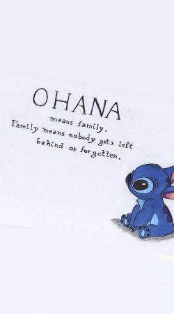 hoesje Ohana Means Family