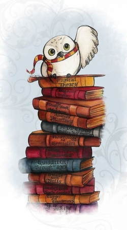 hoesje Owl and Books