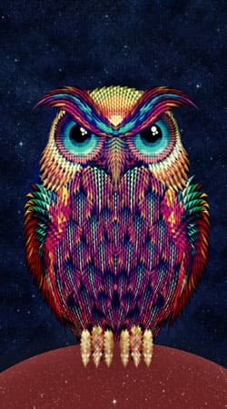 hoesje Owls in space