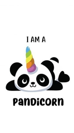hoesje Panda x Licorne Means Pandicorn