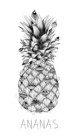hoesje PineApplle