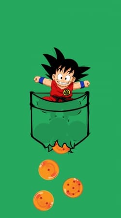 hoesje Pocket Collection: Goku Dragon Balls