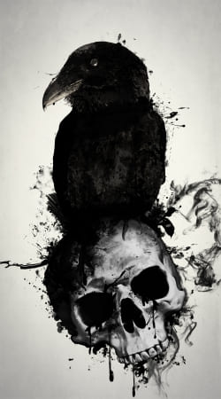 hoesje Raven and Skull