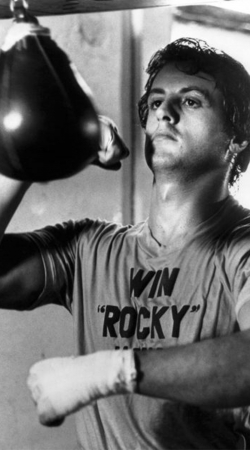 hoesje Rocky Balboa Training Punchingball