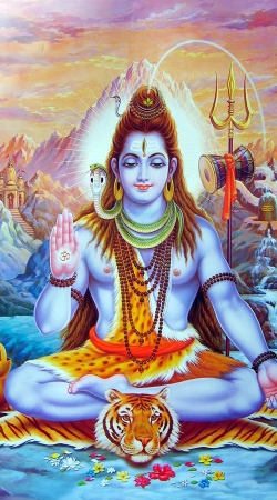 hoesje Shiva God