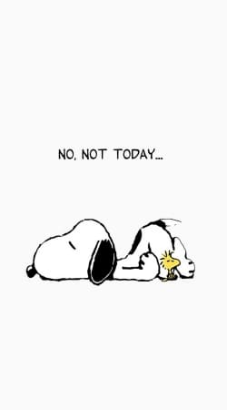 hoesje Snoopy No Not Today