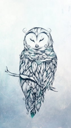 hoesje Snow Owl