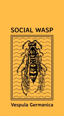 hoesje Social Wasp Vespula Germanica