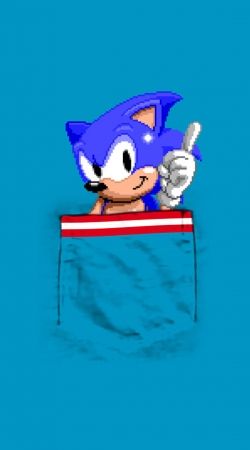hoesje Sonic in the pocket