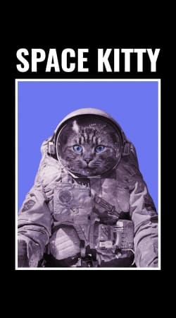 hoesje Space Kitty