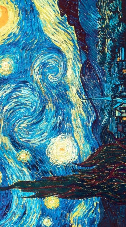 hoesje The Starry Night