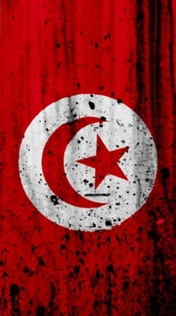 hoesje Tunisia Fans