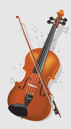 hoesje Violin Virtuose