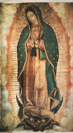 hoesje Virgen Guadalupe