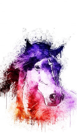 hoesje watercolor horse