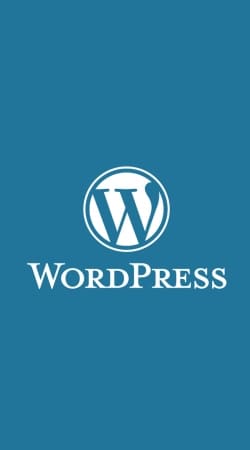 hoesje Wordpress maintenance