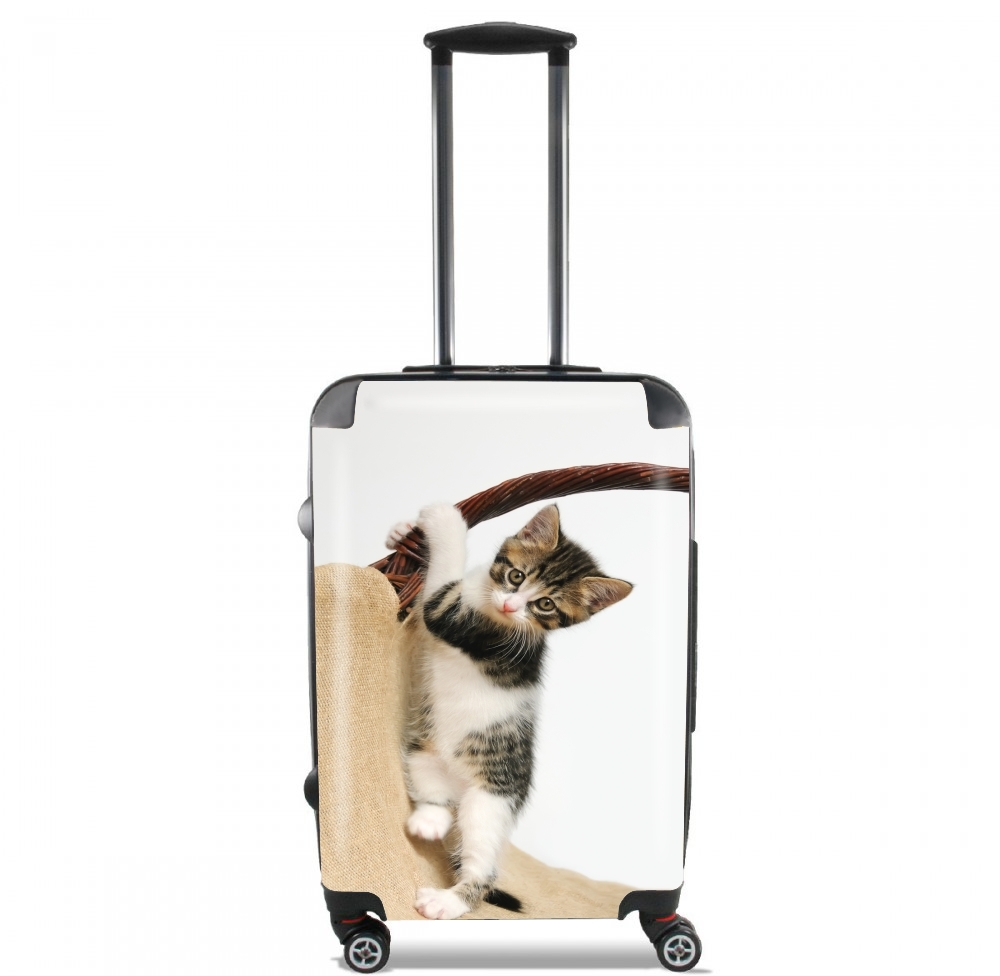  Baby cat, cute kitten climbing voor Handbagage koffers