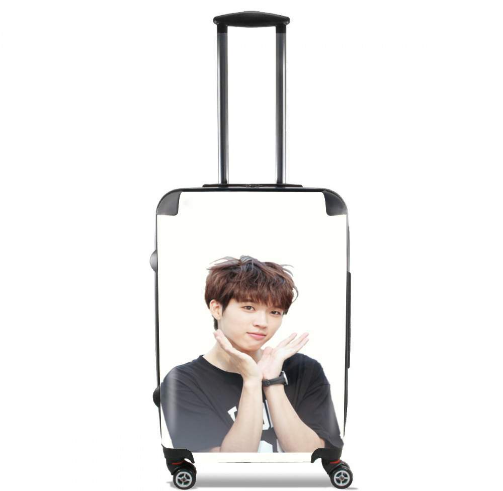  INFINITE Nam Woohyu voor Handbagage koffers