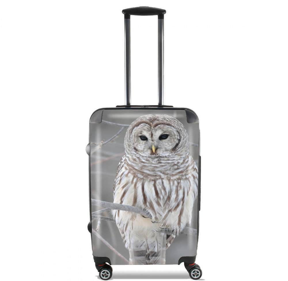  owl bird on a branch voor Handbagage koffers