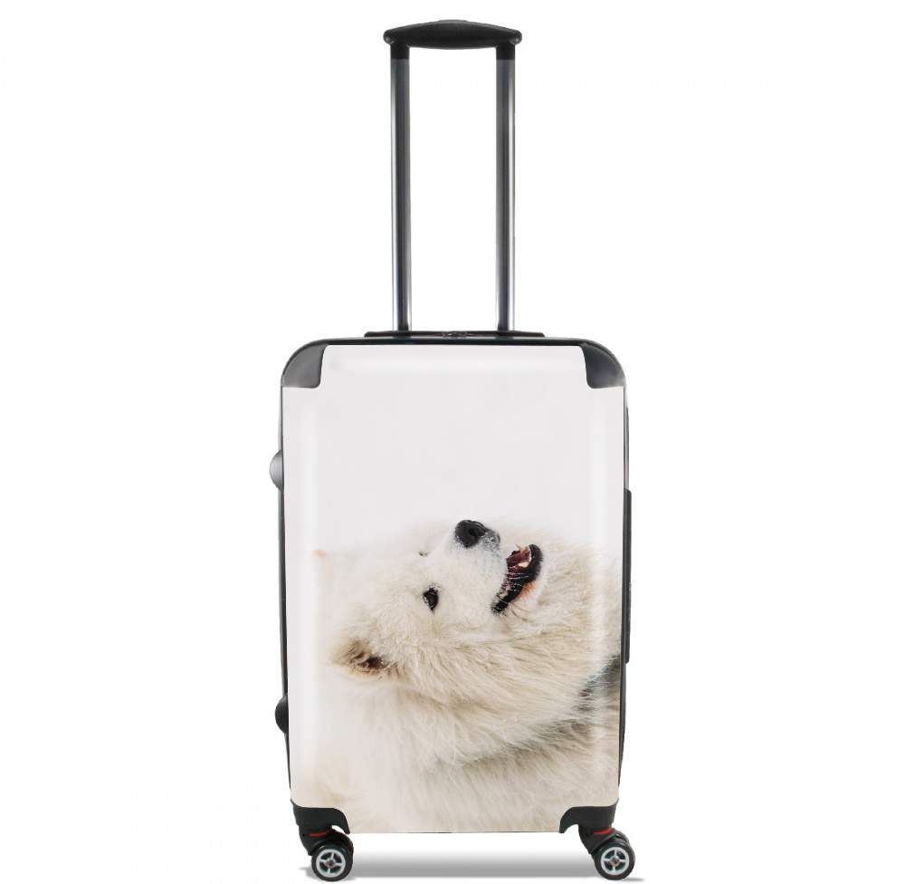  samoyede dog voor Handbagage koffers