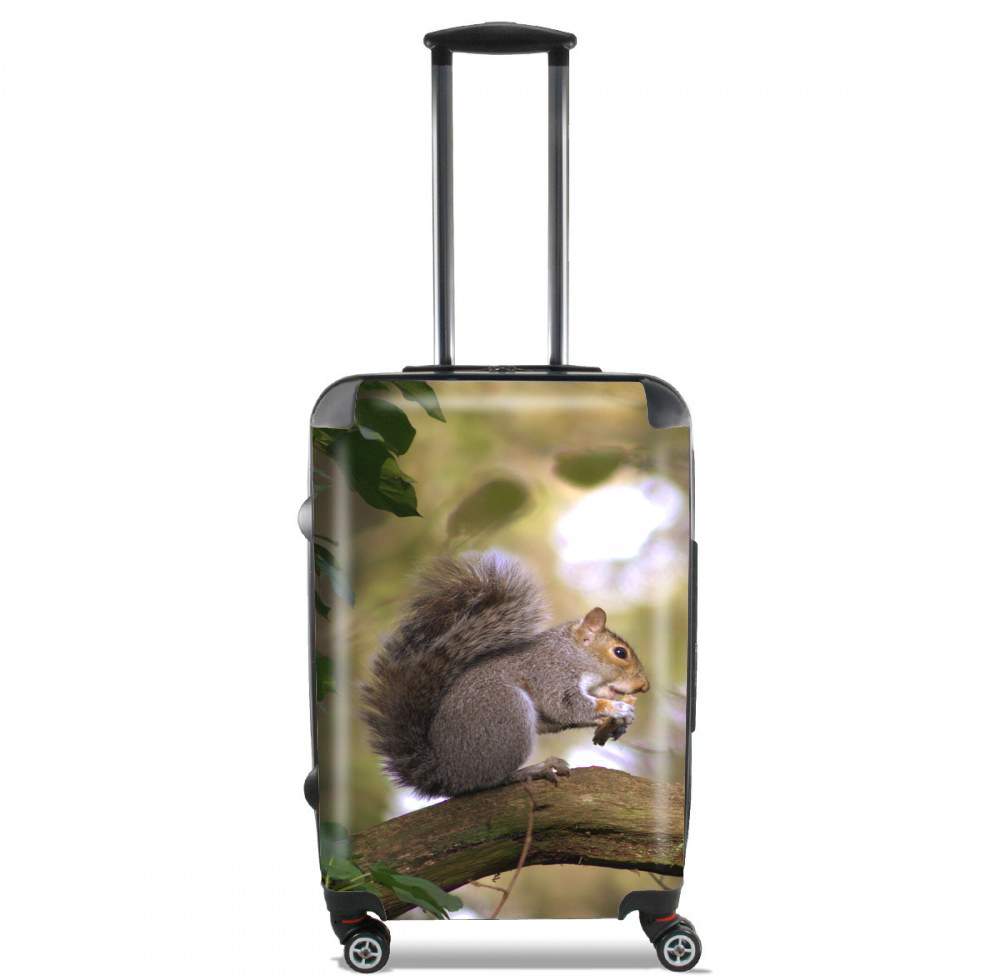  squirrel gentle voor Handbagage koffers
